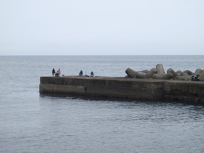 P7090008