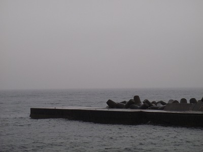 P4250299