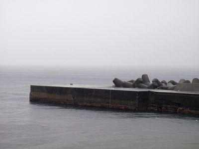 P5050108