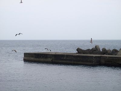 P5260110