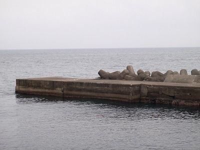P3200080