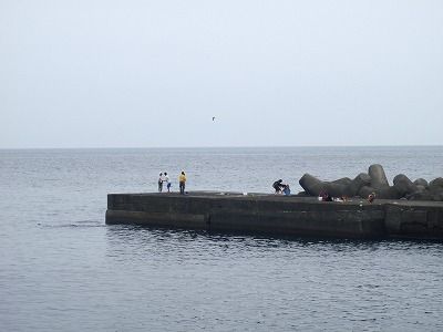 P7290092