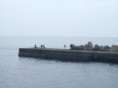 P8010085