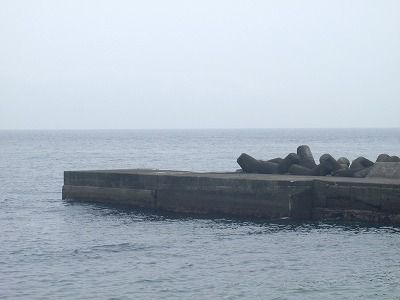 P4270149