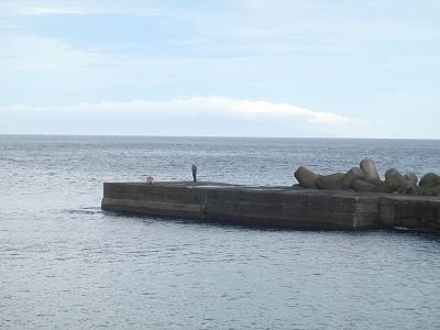 P9120184