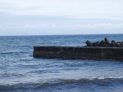 P4270252