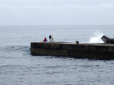 P4100065