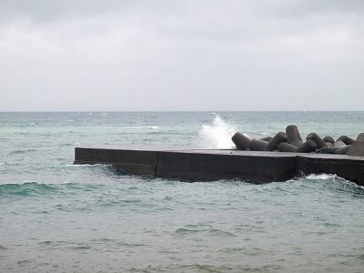 PA250184