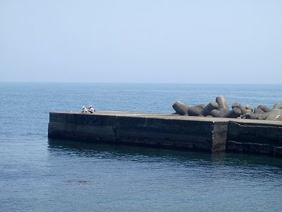 P5310110