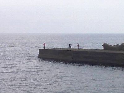 KIMG0096
