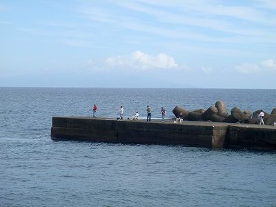PA080083