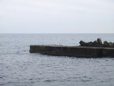P2150251