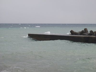 PA240225