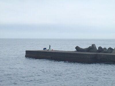 P8040231