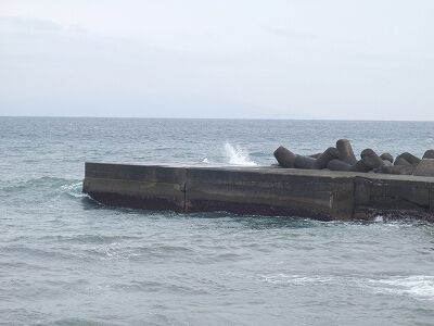 P3300224
