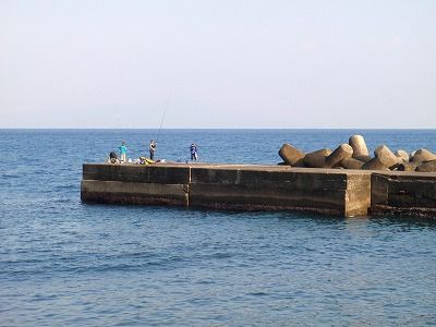 P3150251