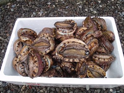 P4010290