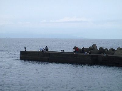 P8110254
