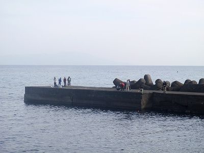 P2010096