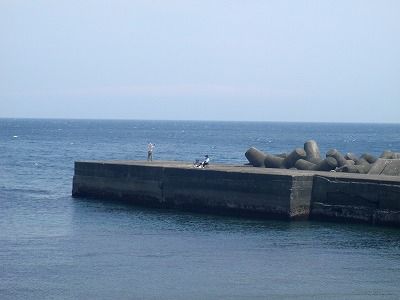 P5170206