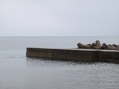 P7030002