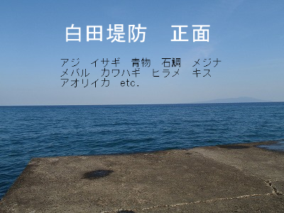 BlogPaint