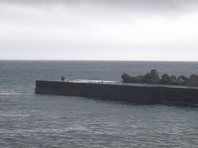 PA080155
