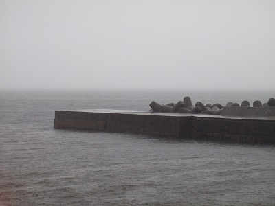 P8020328