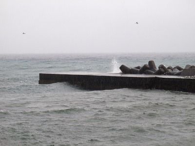 P3050252