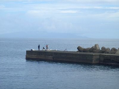 P9050149