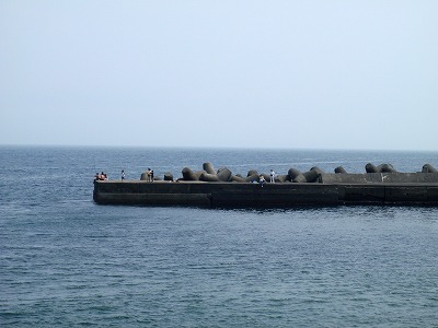 P8020004