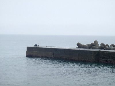 P9060184