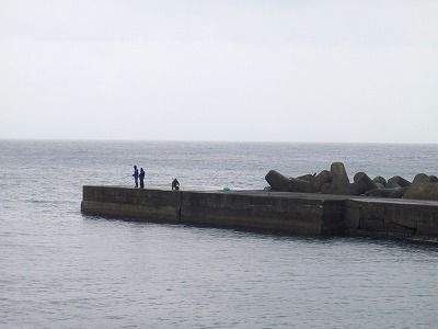 P4240083