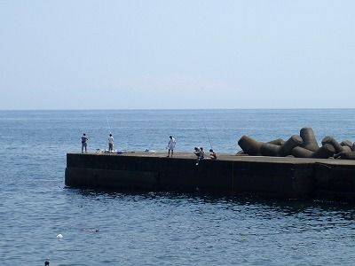P8160238