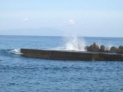 P8110120