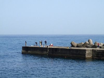 P5020245