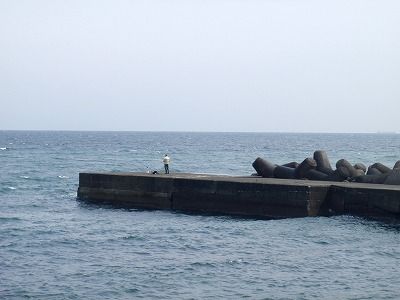 P3030126