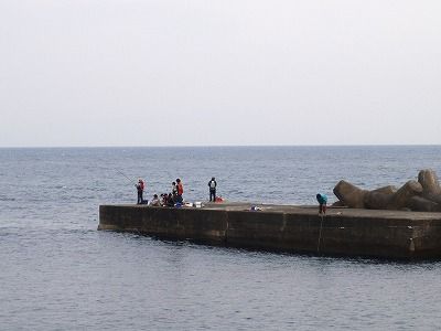 P4020229