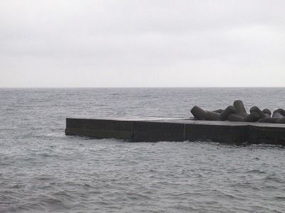 PA130186
