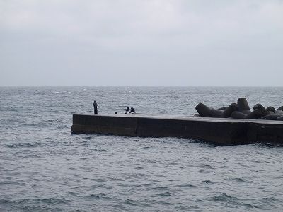 P3030224