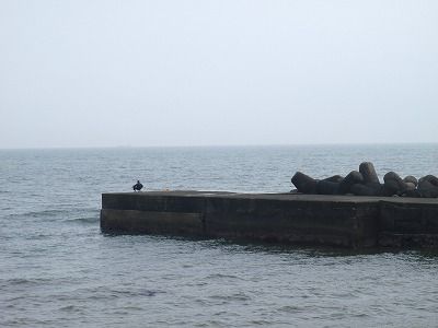 P4250251