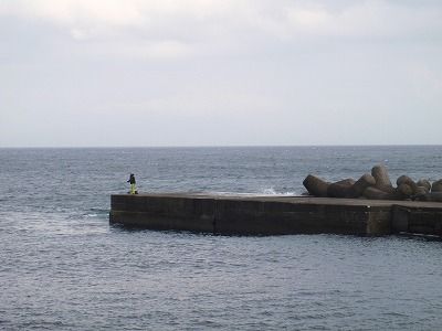 P3130076