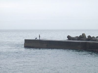 P7070119