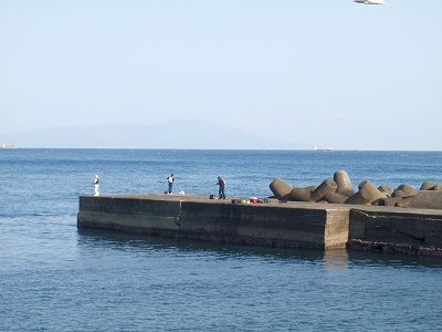P3120224
