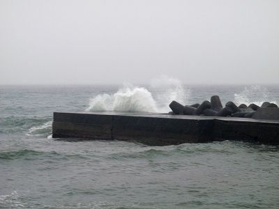 P4030103