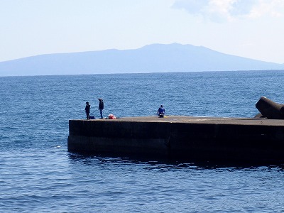 P3110060