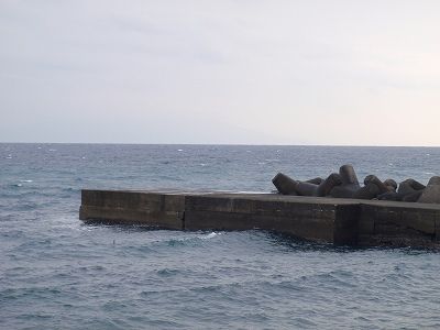 P1210113