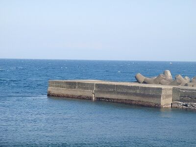P5010231