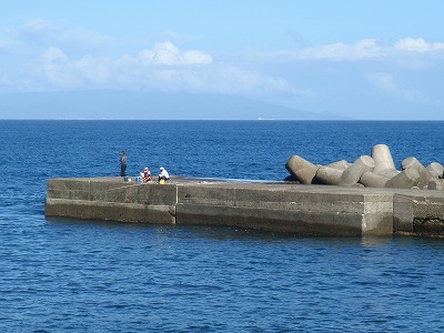 P8040021
