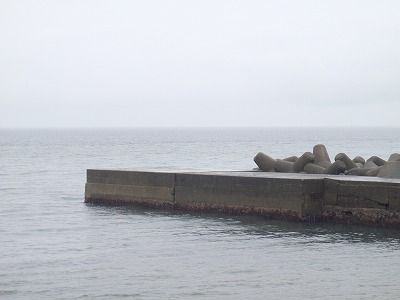 P7050119